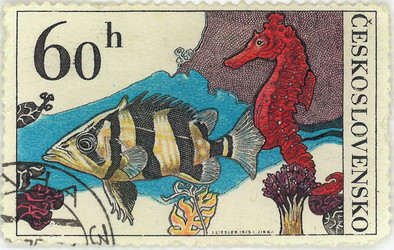 Similar image 859092