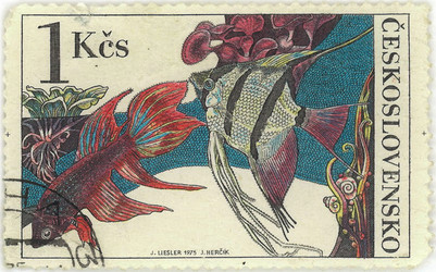 Similar image 859093