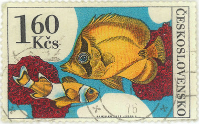 Similar image 859094