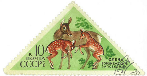 Similar image 859095