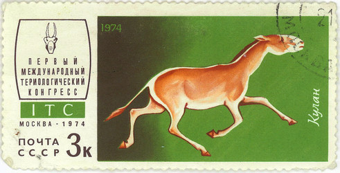 Similar image 859097