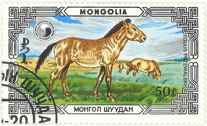 Similar image 859099