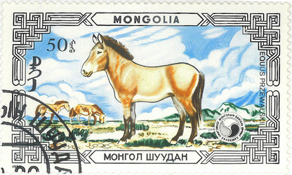 Similar image 859100