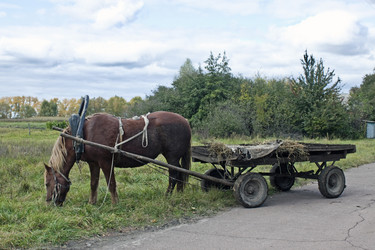 Similar image 859124