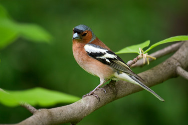 Similar image 859156