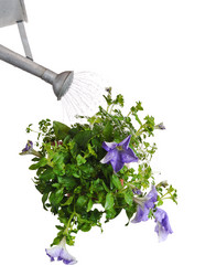 Similar image 859273