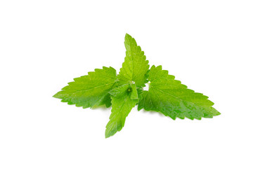 Similar image 859291