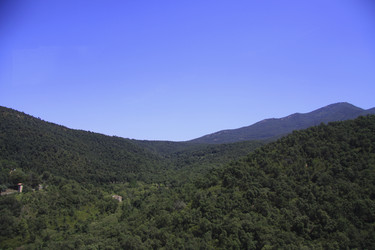 Similar image 859306