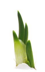 Similar image 859324