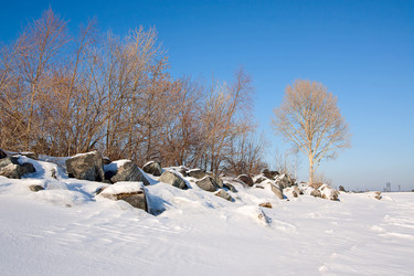 Similar image 859352