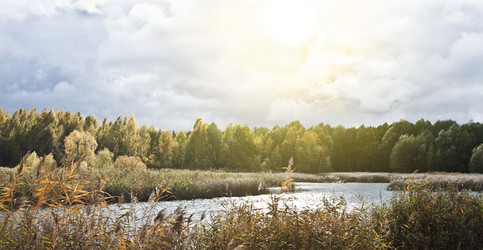 Similar image 859357