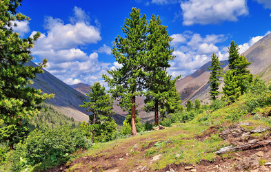 Similar image 859360