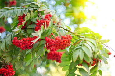 Similar image 859397