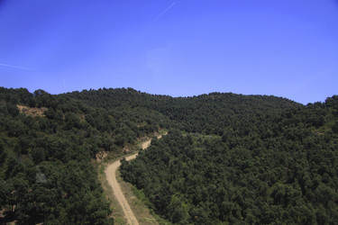 Similar image 859425