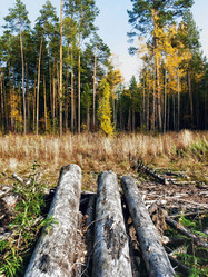 Similar image 859445