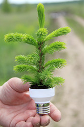 Similar image 859514