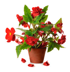 Similar image 859541