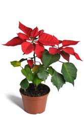 Similar image 859543