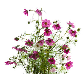 Similar image 859548