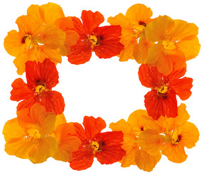 Similar image 859552