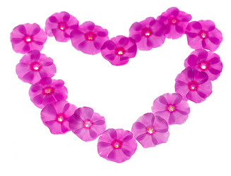 Similar image 859555