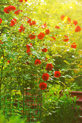 Similar image 859564