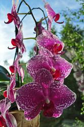 Similar image 859565