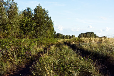 Similar image 859585