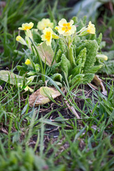 Similar image 859631