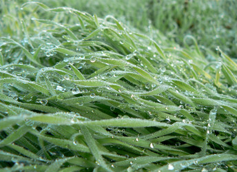 Similar image 859642