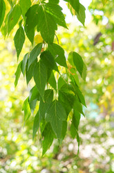 Similar image 859672