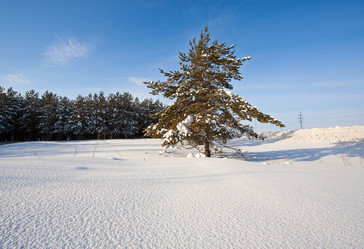 Similar image 859678