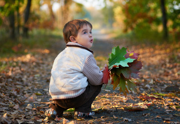 Similar image 859743