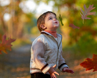 Similar image 859753