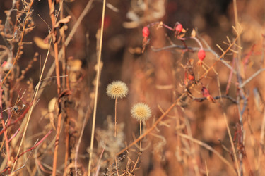 Similar image 859835