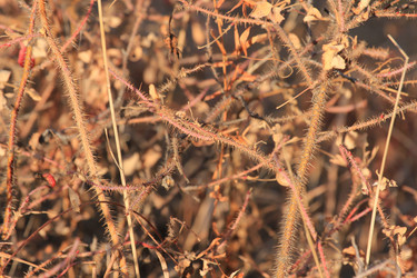 Similar image 859842