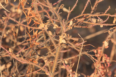 Similar image 859843