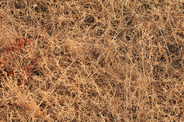 Similar image 859846