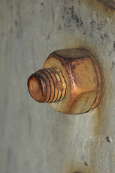 Similar image 859850