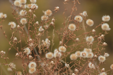 Similar image 859858