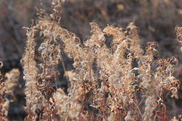 Similar image 859861