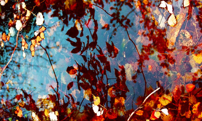 Similar image 859873