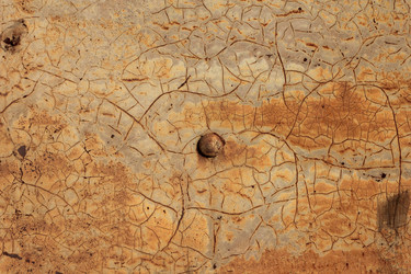 Similar image 859881