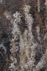 Similar image 859888