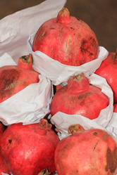 Similar image 859889