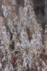 Similar image 859897