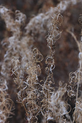 Similar image 859902