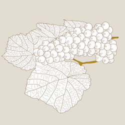 Similar image 859916