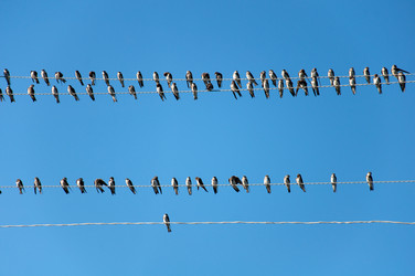 Similar image 859967