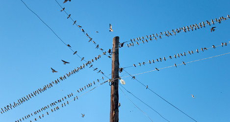 Similar image 859974